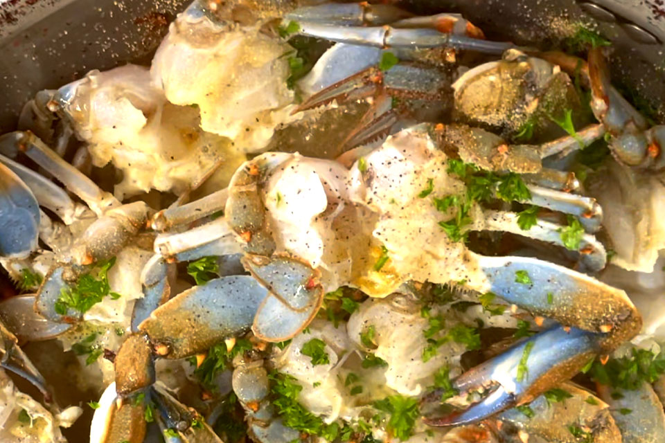 Fresh Crabs